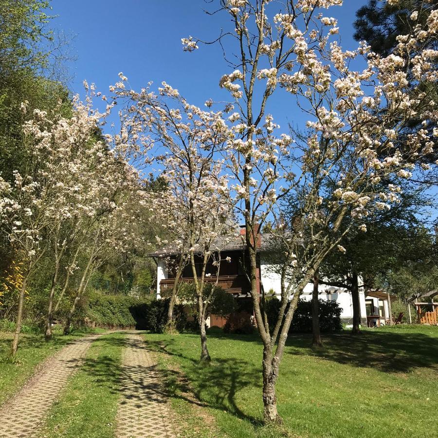 Ferienapartments Engeln Eifel Kempenich Zewnętrze zdjęcie